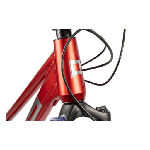 PELLS Crono Comp W
