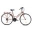 Capriolo Sunrise Lady női trekking kerékpár 19" Bronz