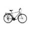 Capriolo Sunrise Man férfi trekking kerékpár Szürke 22"