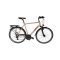 Victoria Trekking 2.7 férfi trekking kerékpár Mattpezsgő 61 cm