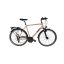 Victoria Trekking 2.7 férfi trekking kerékpár Mattpezsgő 61 cm