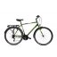 Capriolo Sunrise Man férfi trekking kerékpár Zöld 22"
